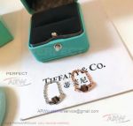 AAA Replica Tiffany And Co T Two Rings - 925 Silver